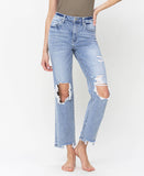 Alyssa High Rise Distressed Straight Jeans